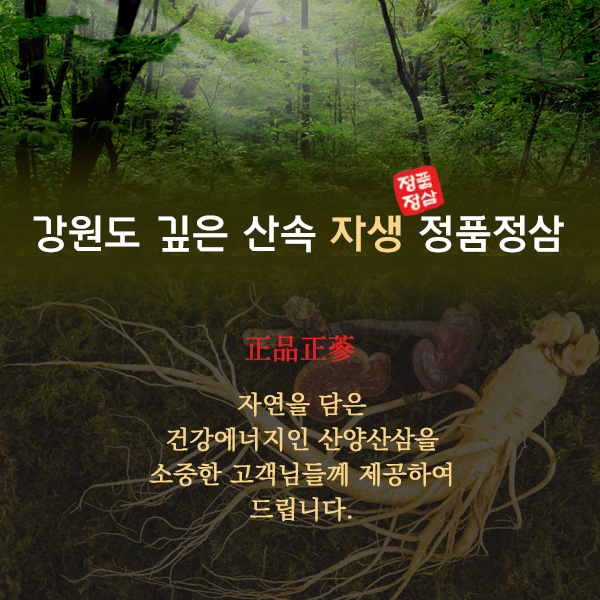 산양산삼 5~6년근 5뿌리